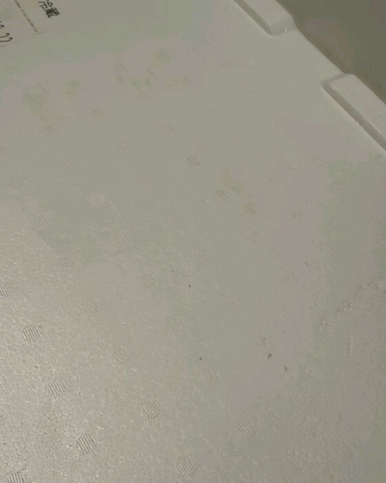 画像266