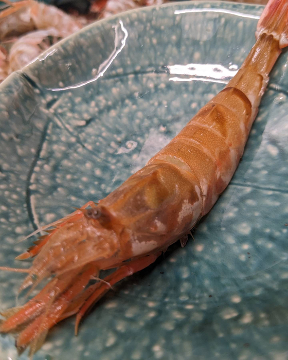 画像268