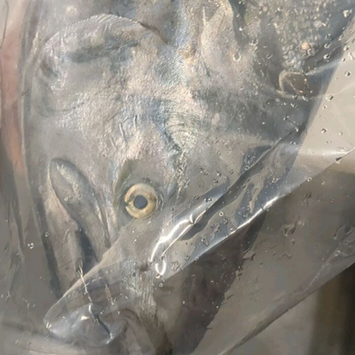 画像274