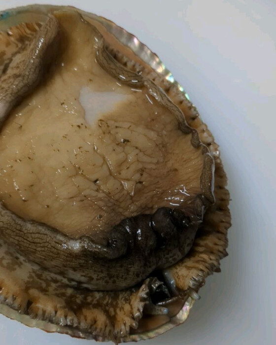 画像278