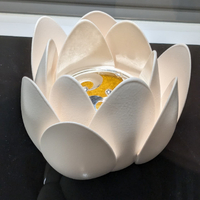 画像341