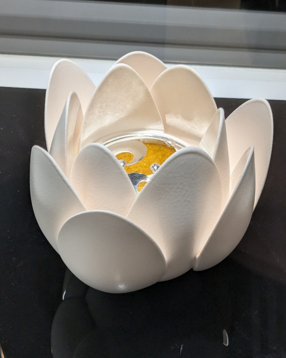 画像341