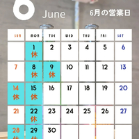 画像529