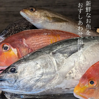 画像542